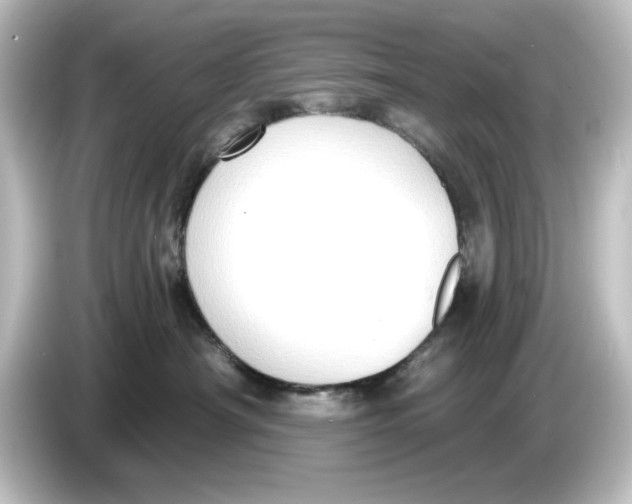 X0000084600430200703161821