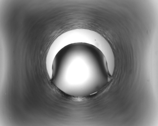 X0000084600432200703161821