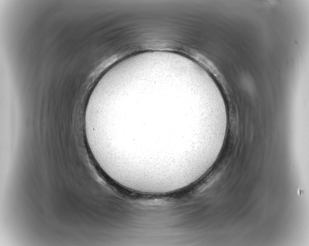 X0000084600433200703161821