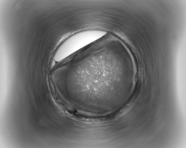 X0000084600434200703161821