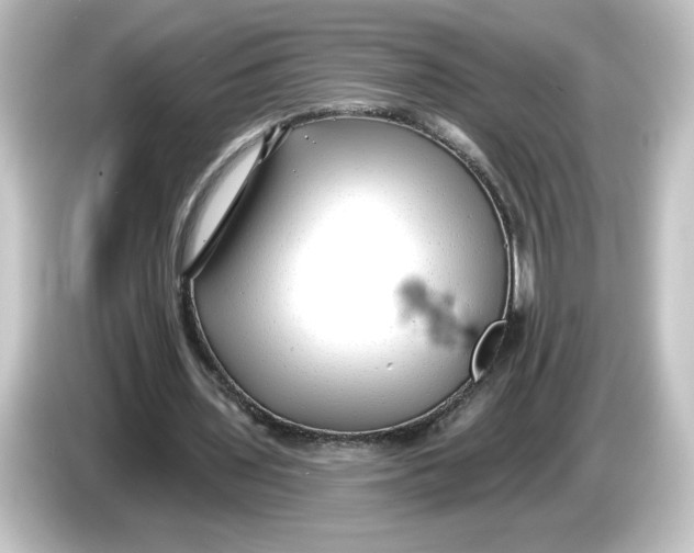 X0000084600435200703161821