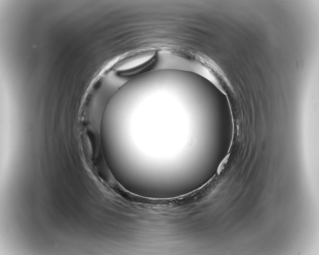 X0000084600436200703161821