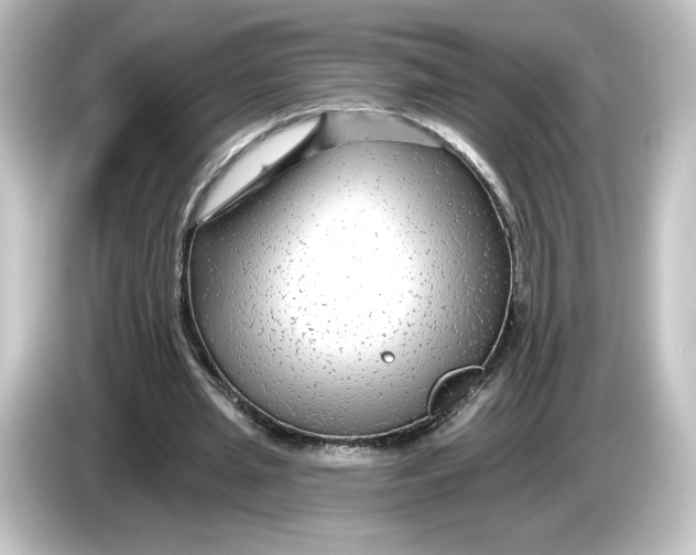 X0000084600437200703161821