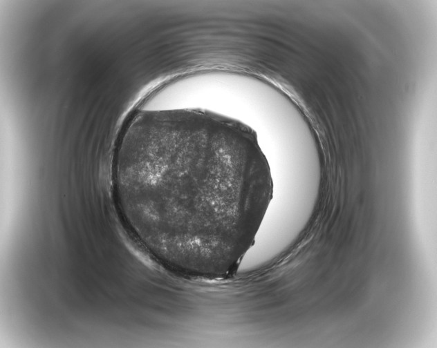 X0000084600438200703161821