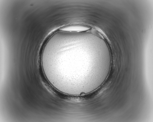 X0000084600439200703161821