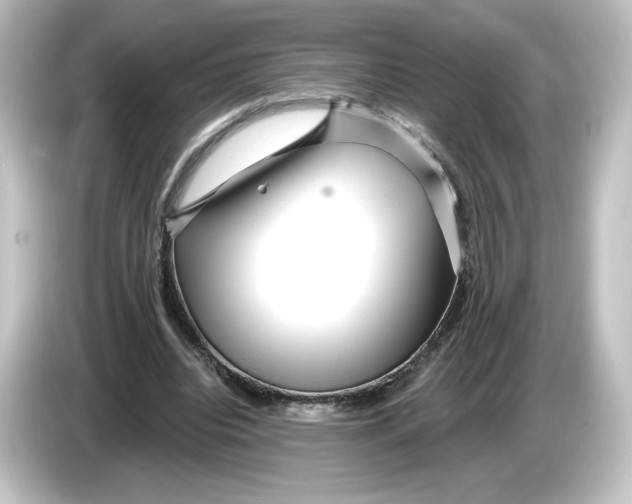 X0000084600440200703161821