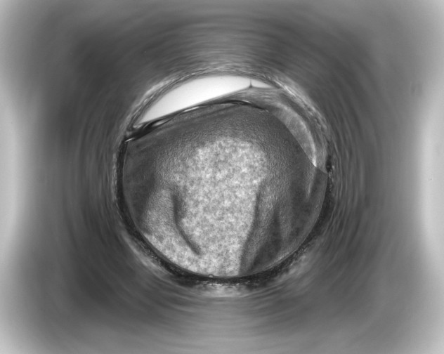 X0000084600442200703161821