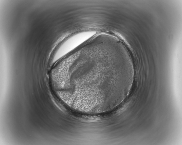 X0000084600443200703161821