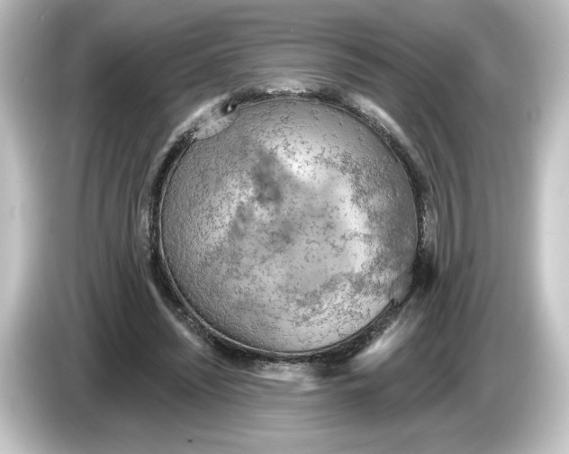 X0000084600444200703161821