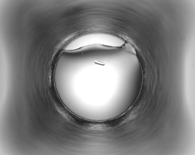 X0000084600446200703161821