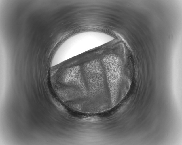 X0000084600447200703161821