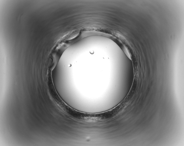 X0000084600448200703161821