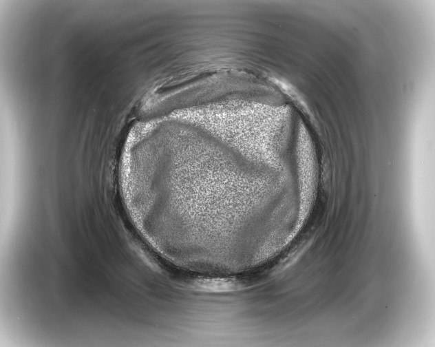 X0000084600449200703161821