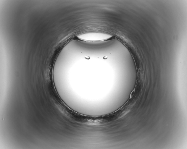 X0000084600450200703161821