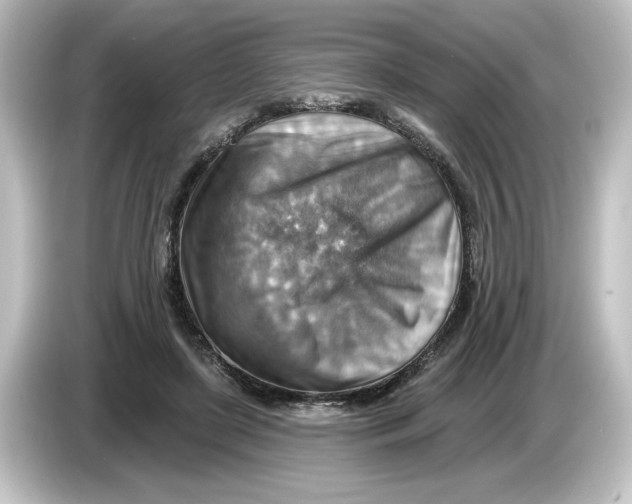 X0000084600451200703161821