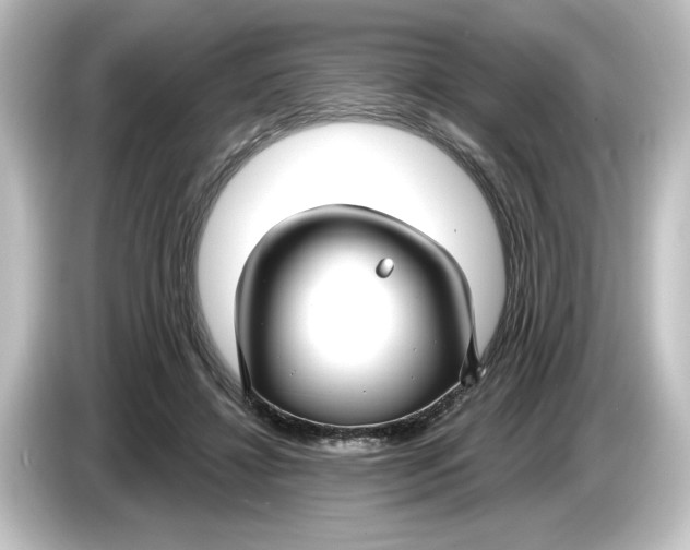 X0000084600452200703161821