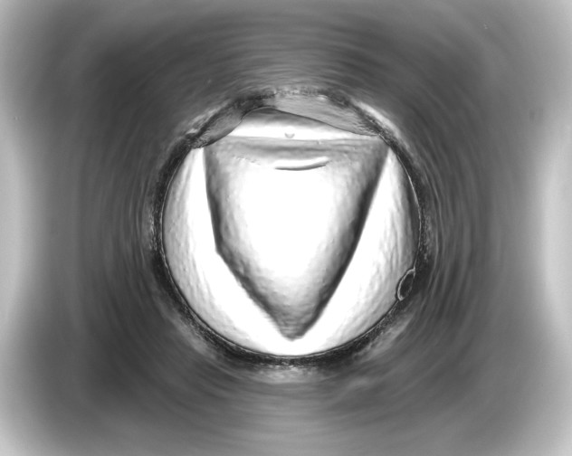 X0000084600453200703161821