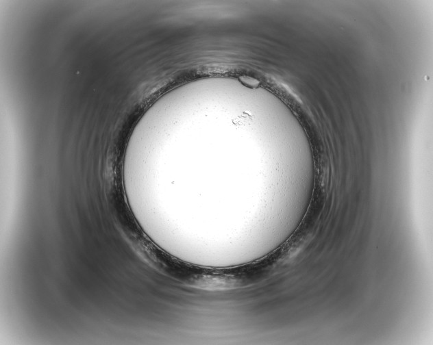 X0000084600455200703161821