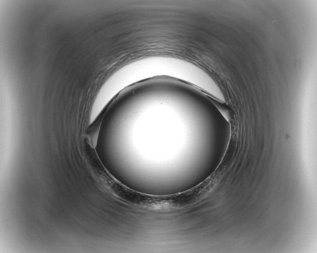 X0000084600456200703161821