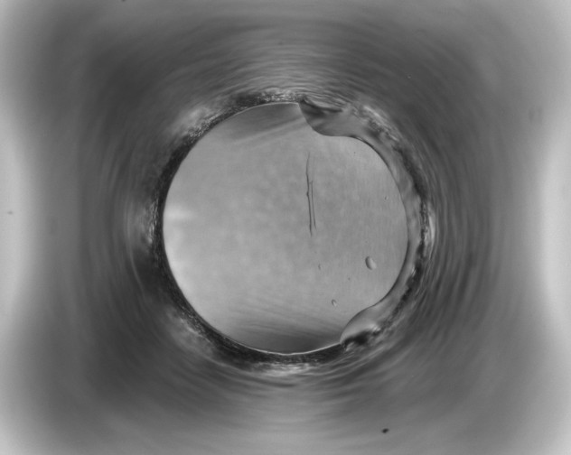 X0000084600458200703161821