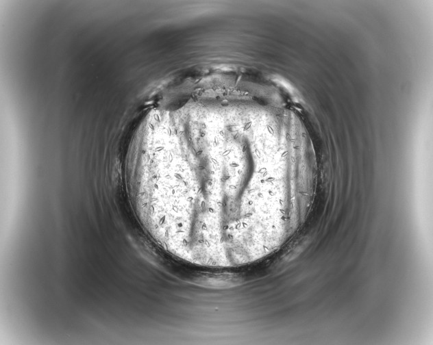 X0000084600459200703161821