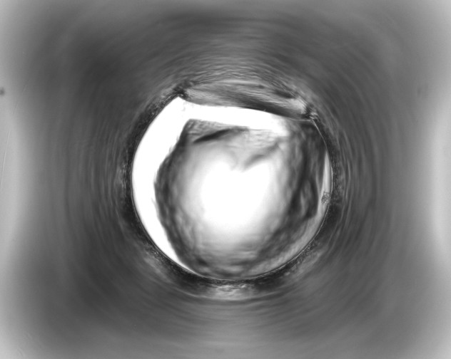 X0000084600461200703161821