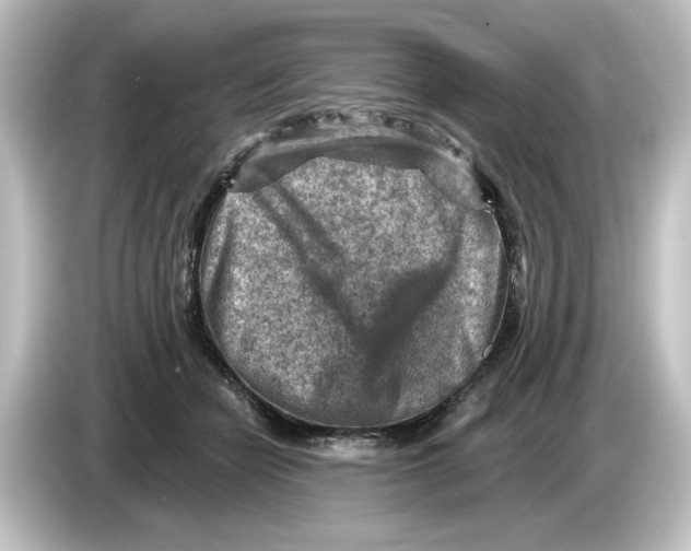 X0000084600462200703161821