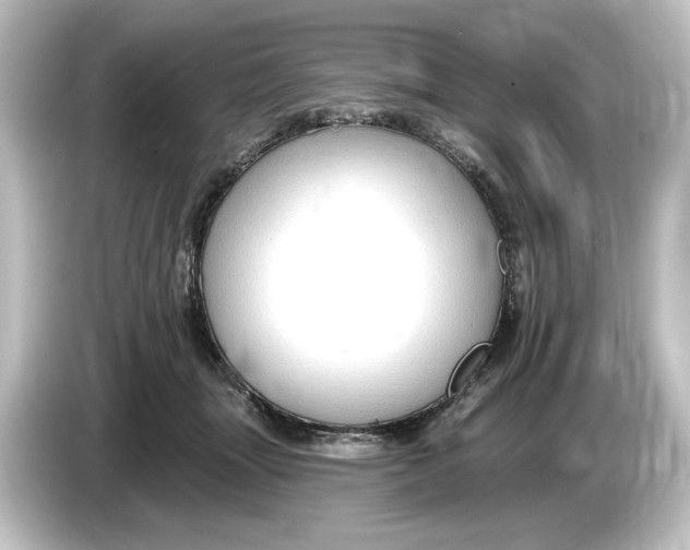 X0000084600463200703161821