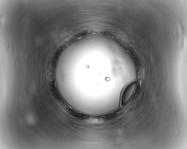 X0000084600464200703161821