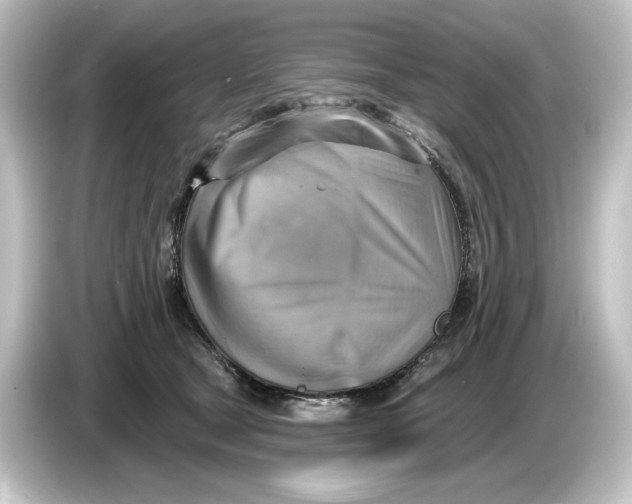 X0000084600465200703161821