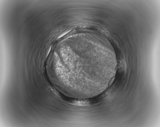 X0000084600466200703161821