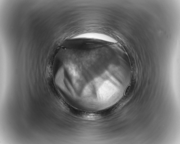 X0000084600467200703161821