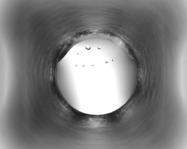 X0000084600470200703161821