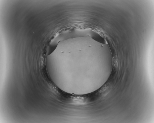 X0000084600471200703161821