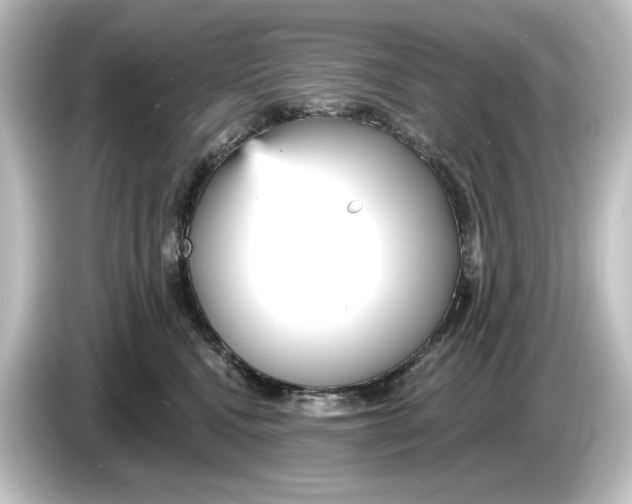 X0000084600472200703161821