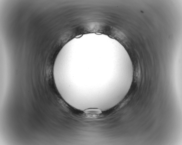 X0000084600473200703161821