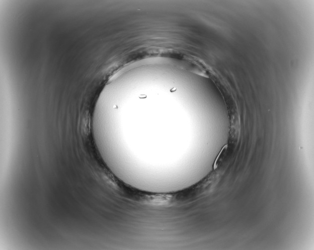 X0000084600474200703161821