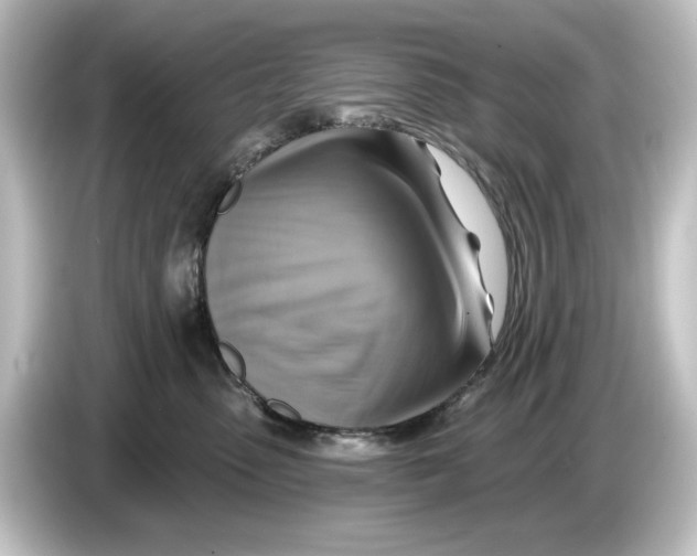 X0000084600475200703161821