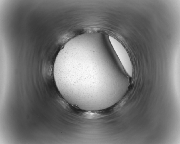 X0000084600477200703161821