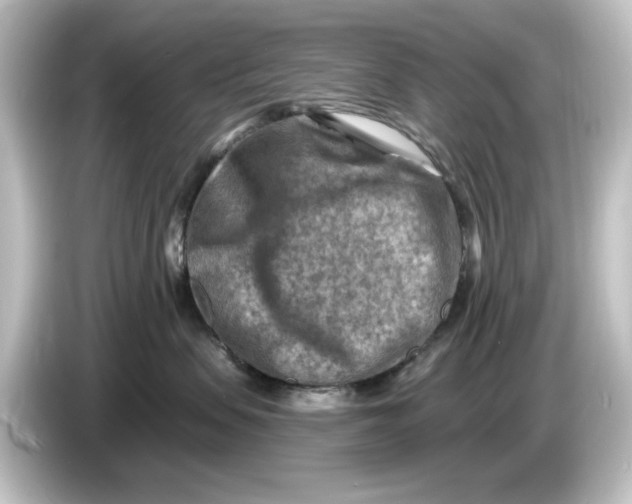 X0000084600479200703161821