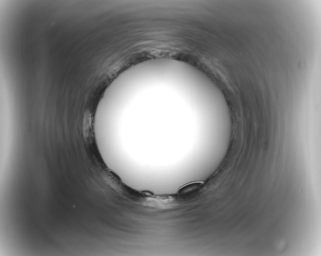 X0000084600480200703161821