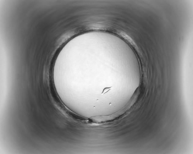 X0000084600482200703161821