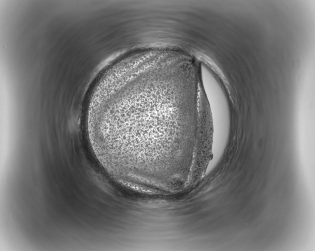 X0000084600483200703161821