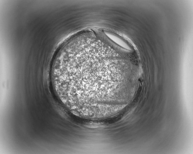 X0000084600487200703161821