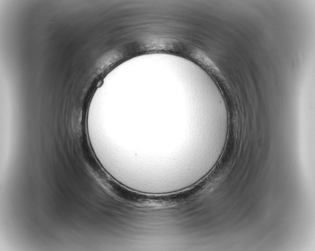 X0000084600490200703161821