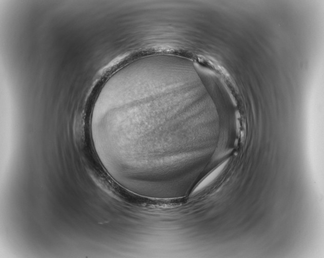 X0000084600492200703161821