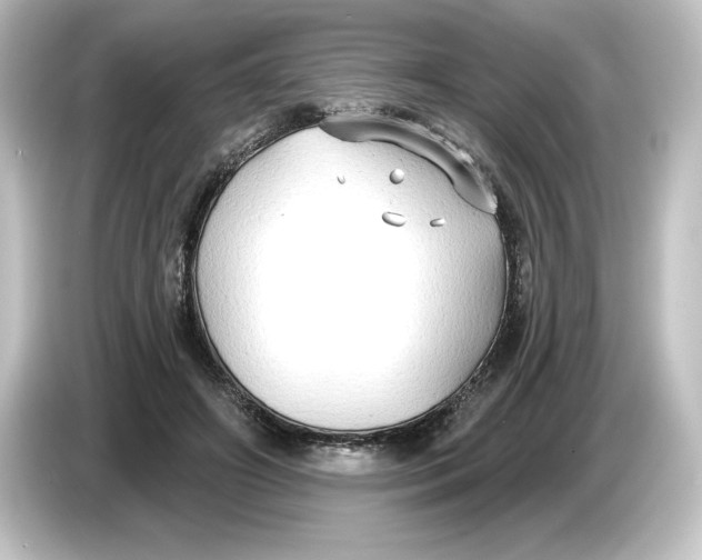 X0000084600498200703161820