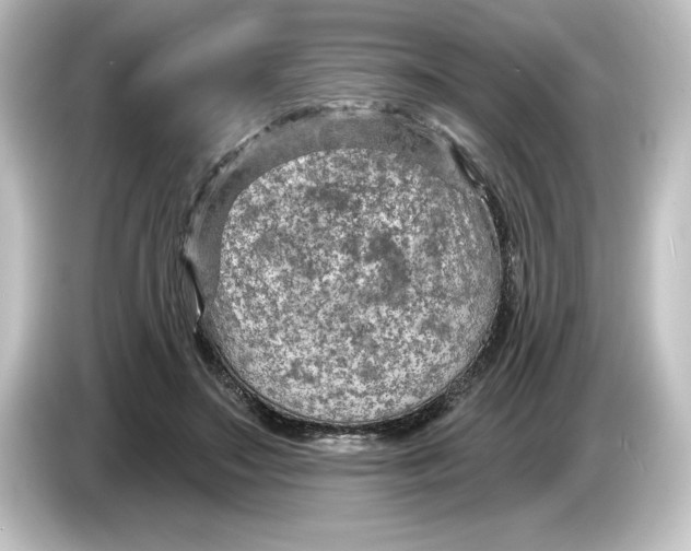 X0000084600499200703161820