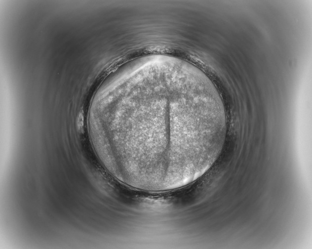 X0000084600502200703161820