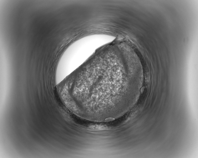 X0000084600503200703161820